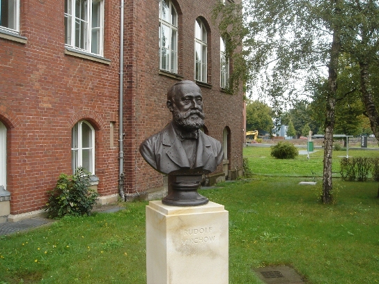 Rudolf Virchow bust, Charité, Berlin.jpg